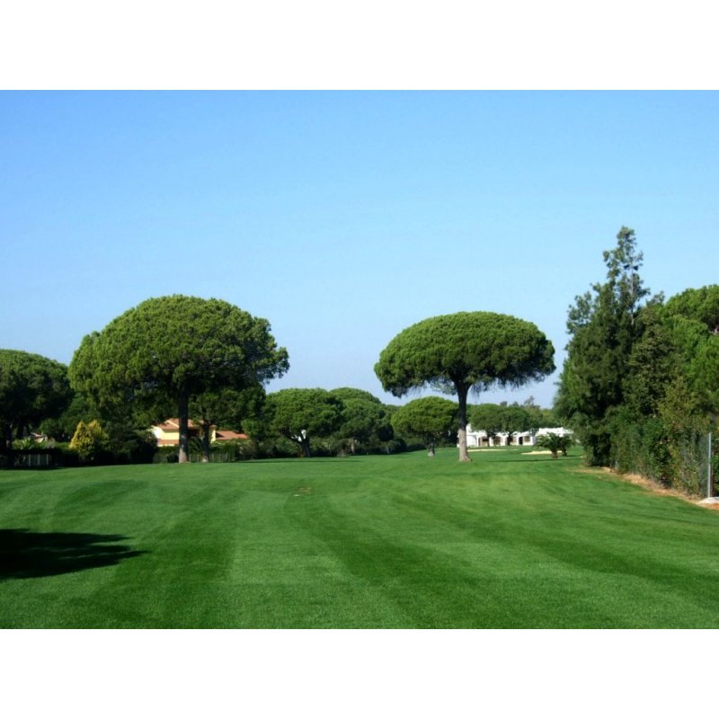 Golf Campano