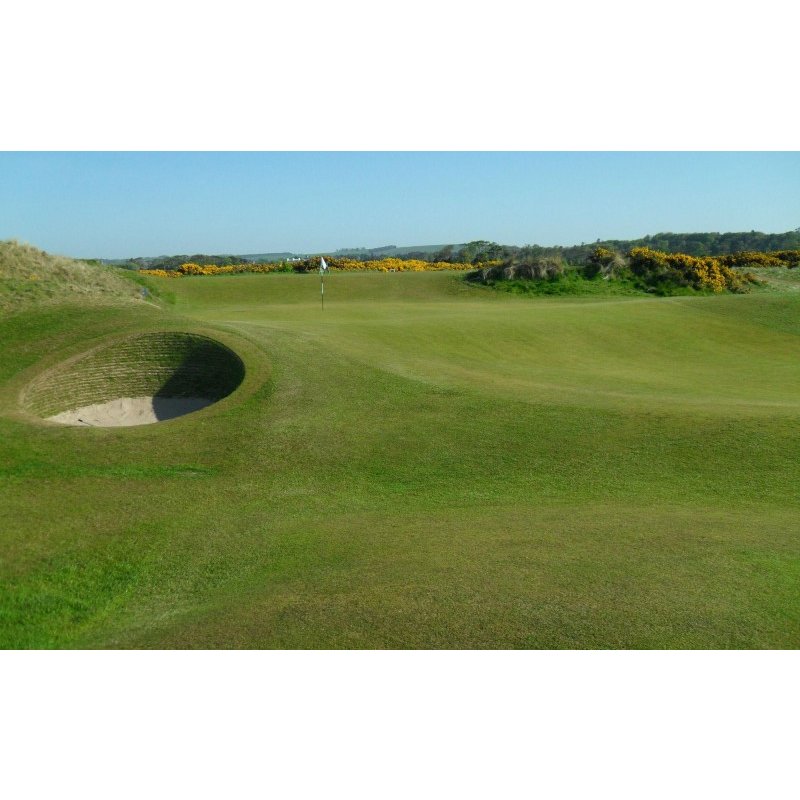 Eden Course St Andrews Links
