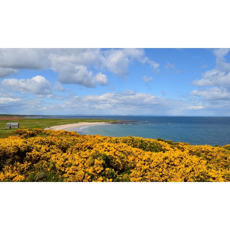 Combiné 7 nuits / 3 jours à St Andrews et 4 nuits dans les Highlands