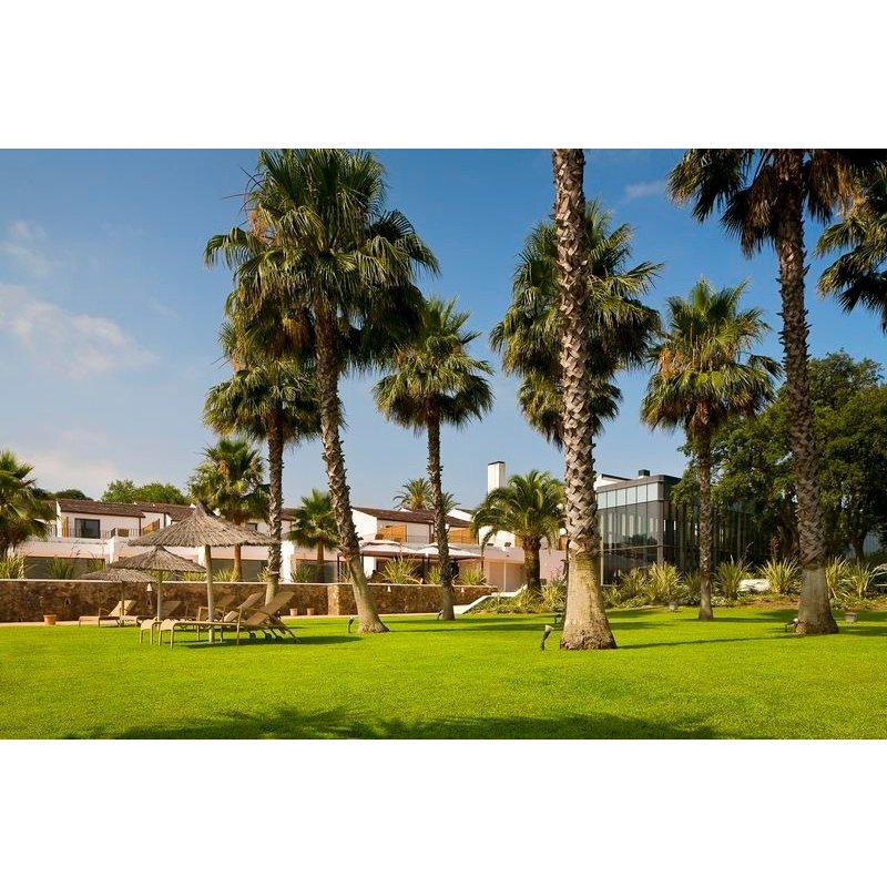 Hotel Encinar de Sotogrande 4* Costa del Sol
