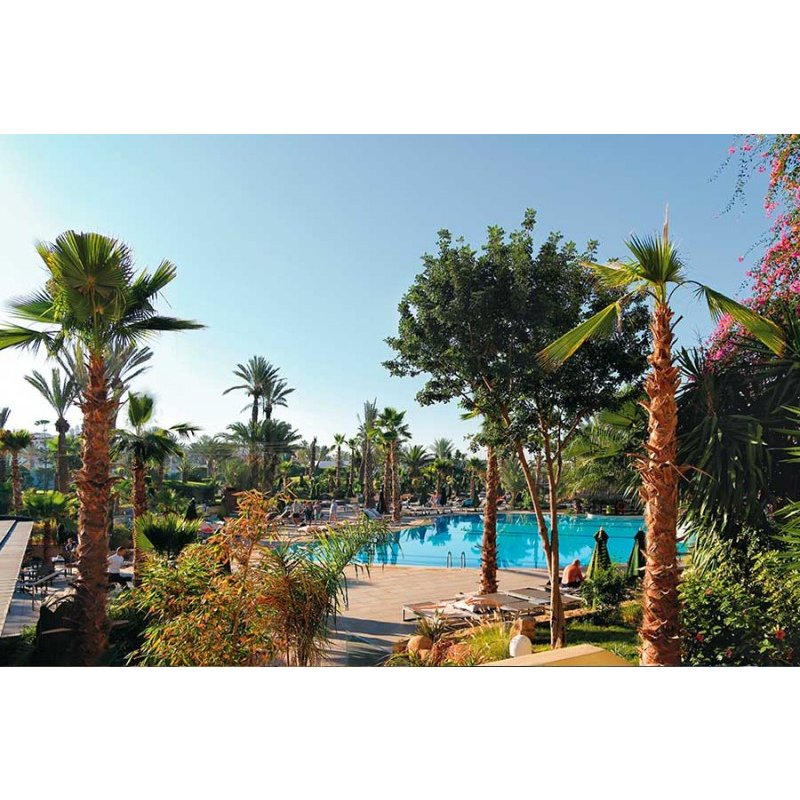 Riu Tikida Beach 4* Agadir