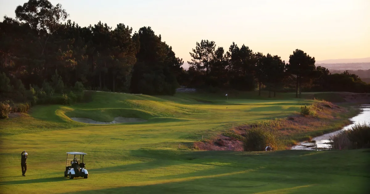 Guardian Sucesso Golf