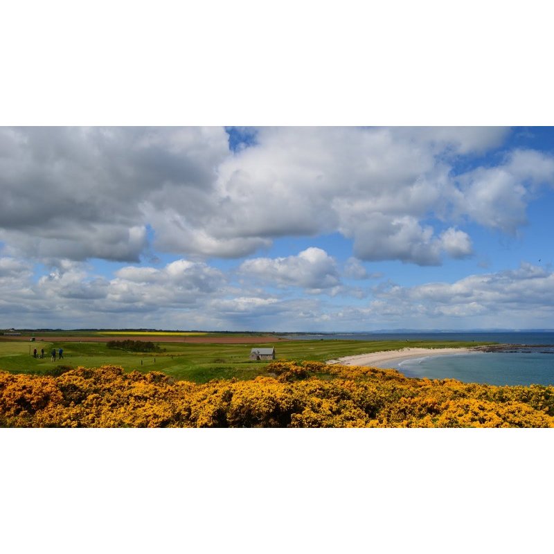 Crail Balcomie Course