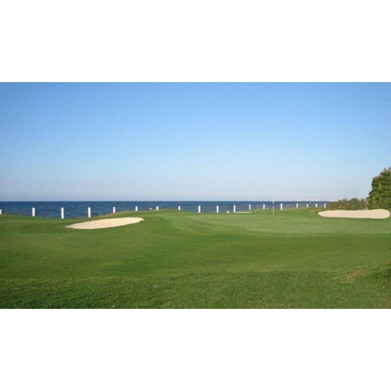 Palm Links Golf Course