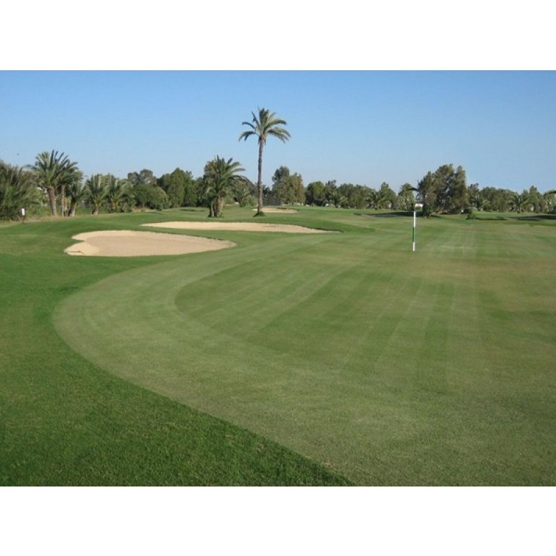 Palm Links Golf Course