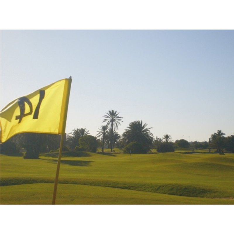 Palm Links Golf Course