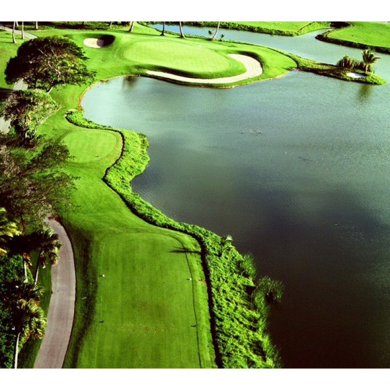 Bavaro Golf Club