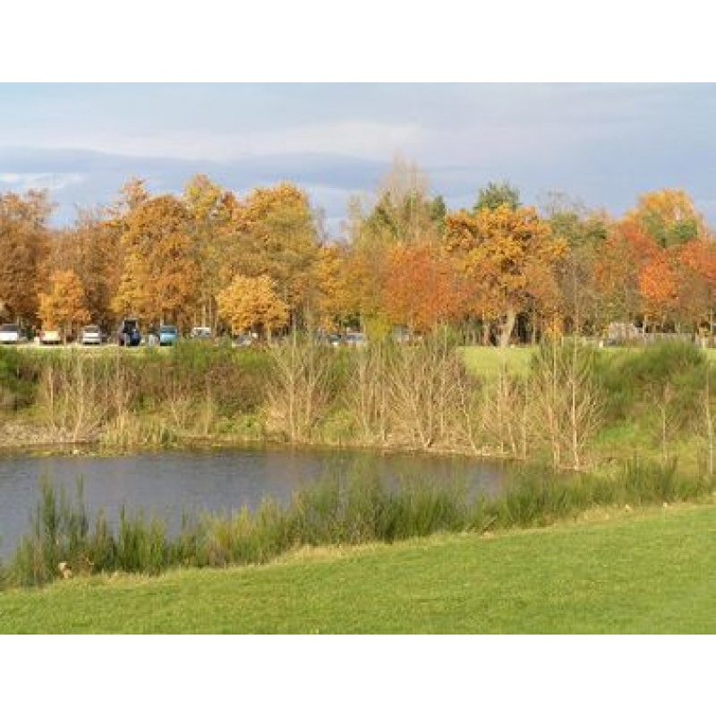 Golf des Bouleaux
