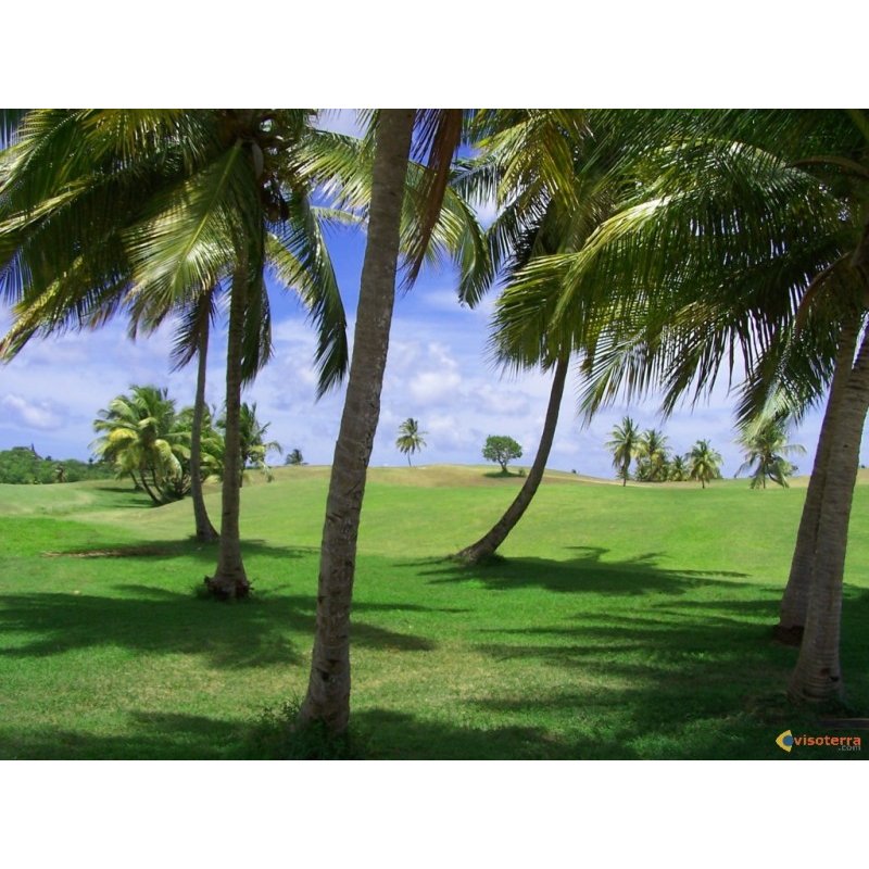 Fiche Golf Golf International de Saint François