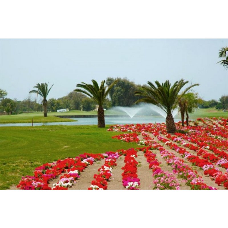 Royal Golf Mohammedia