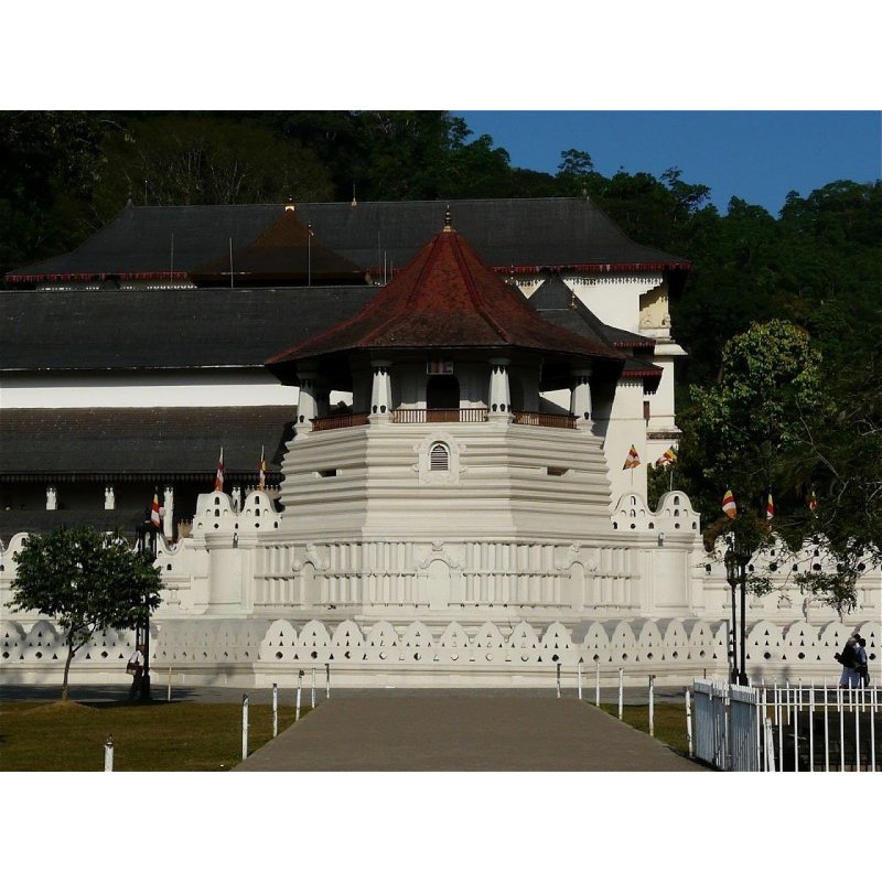 Circuit Combiné Colombo - Kandy - Nuwara Eliya